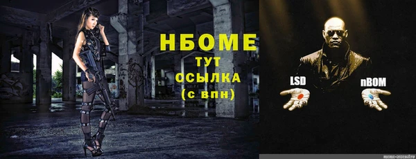 крисы Зерноград