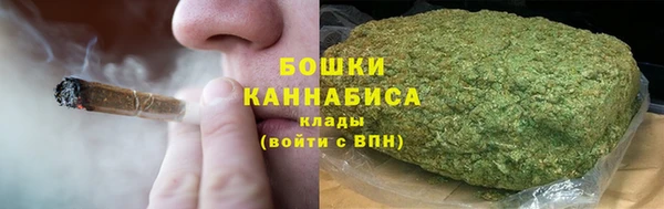 молекула духа Заводоуковск