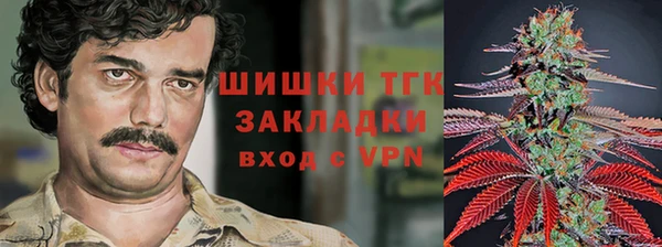 молекула духа Заводоуковск