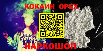 стафф Донской