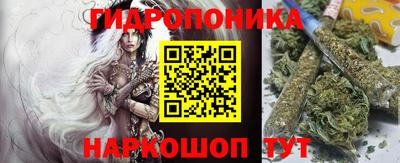 стафф Донской