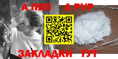 стафф Донской