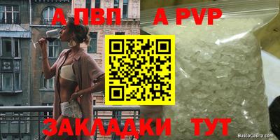 стафф Донской