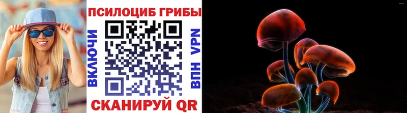 Псилоцибиновые грибы MAGIC MUSHROOMS  Камышлов 