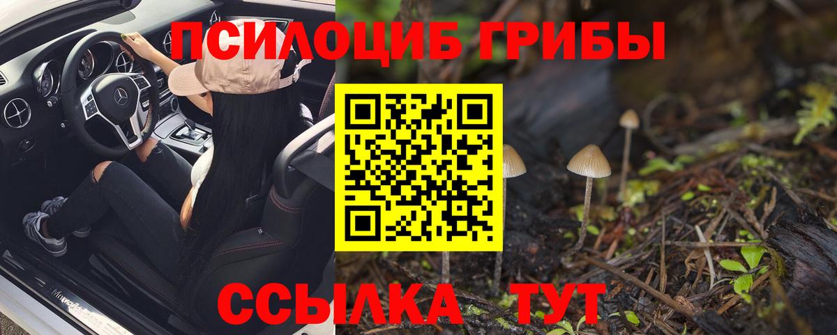 Камышлов  Галлюциногенные грибы Psilocybine cubensis  Псилоцибиновые грибы мицелий  Вход с VPN 