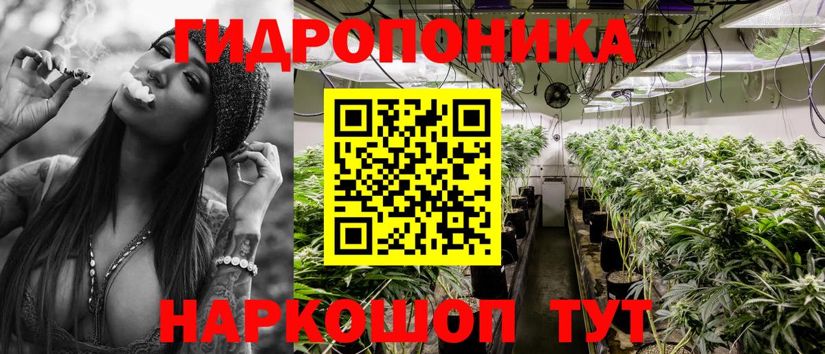 Камышлов  Марихуана тримм  Каннабис план  Бошки марихуана ГИДРОПОН  Вход с VPN 